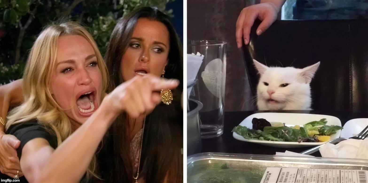The woman yelling at a cat meme: a woman shouting and pointing on the left, Smudge at the dinner table on the right.