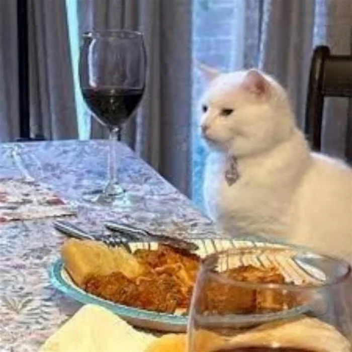 Smudge at the dinner table with a glass of wine.